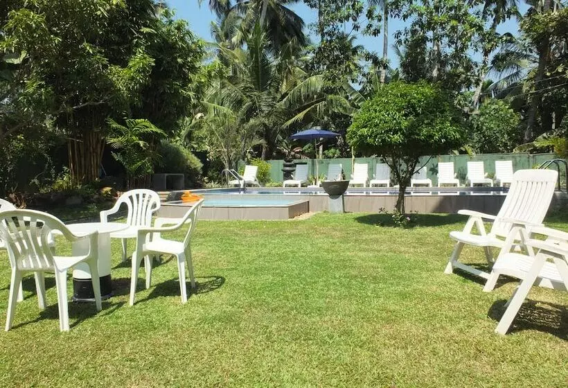 Fotos del hotel Hikka Villa:  10