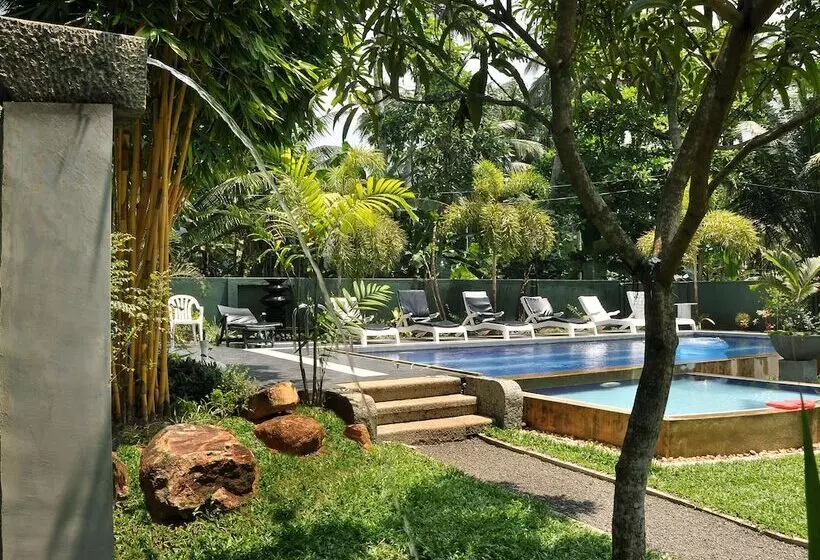 Fotos del hotel Hikka Villa:  12