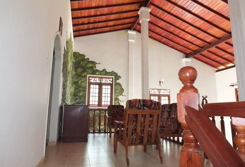 Fotos del hotel Hikka Villa:  8