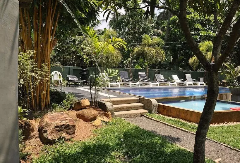 Fotos del hotel Hikka Villa:  13