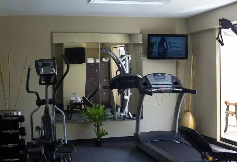 Fotos del hotel El Gran Marqués:  13