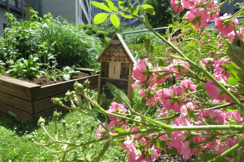 Fotos del hotel Novotel Suites Wien City:  9