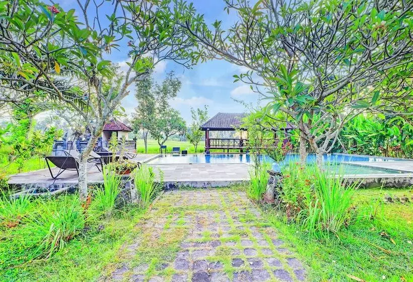 Fotos del hotel Suly Vegetarian Resort And Spa:  6