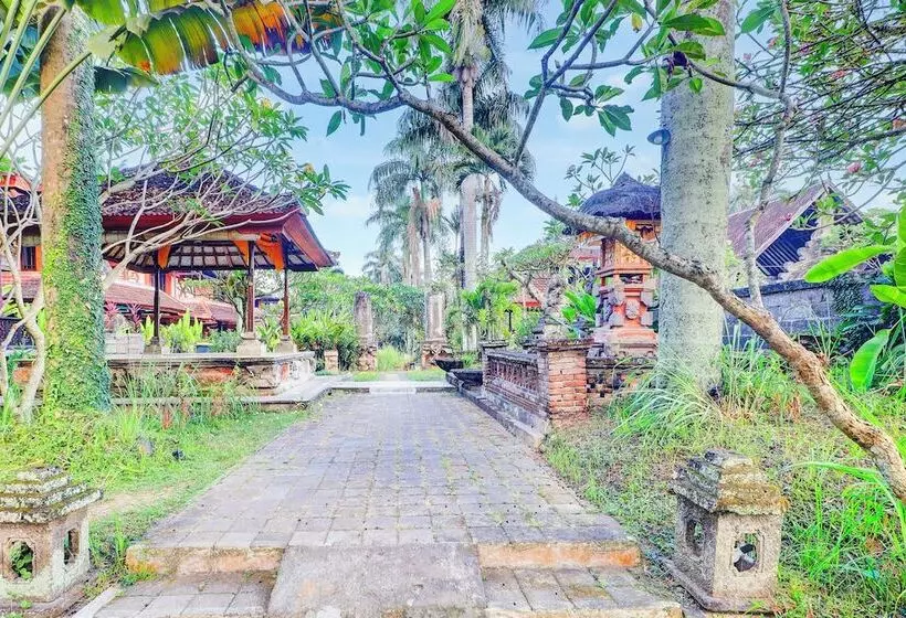 Fotos del hotel Suly Vegetarian Resort And Spa:  20