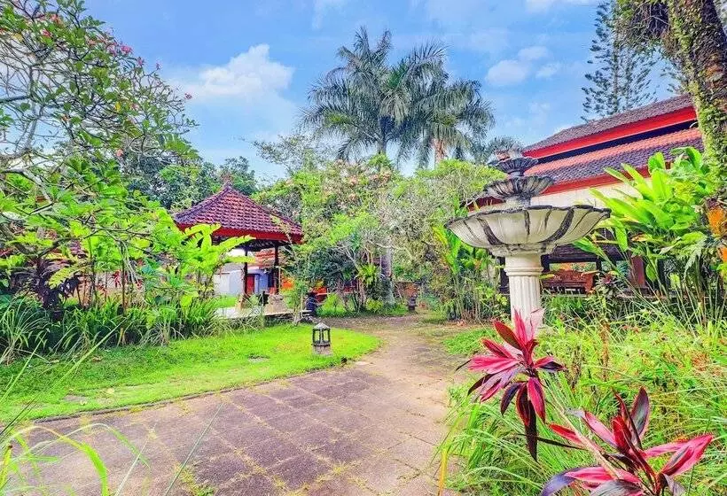 Fotos del hotel Suly Vegetarian Resort And Spa:  12