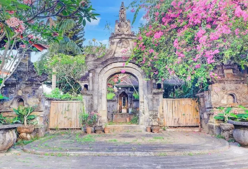 Fotos del hotel Suly Vegetarian Resort And Spa:  18