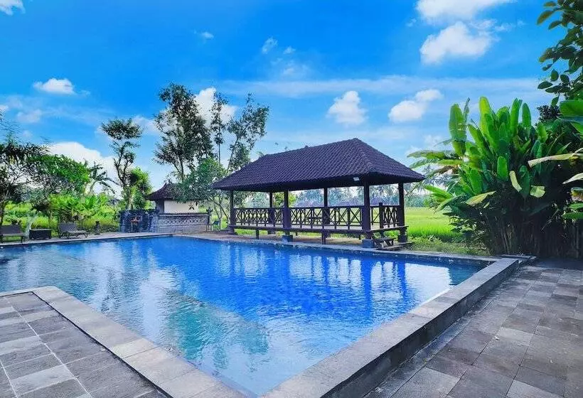 Fotos del hotel Suly Vegetarian Resort And Spa:  3