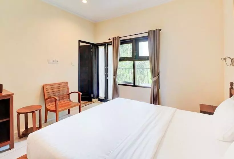 Fotos del hotel Suly Vegetarian Resort And Spa:  19