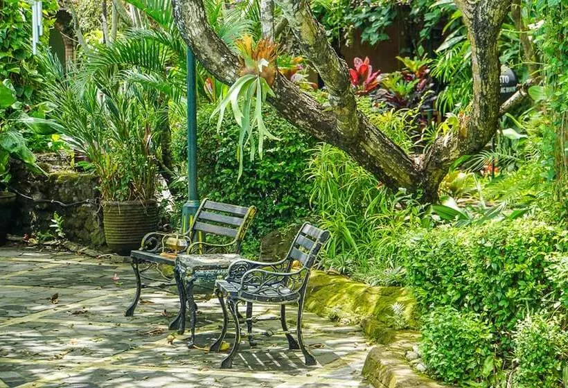 Fotos del hotel Jogja Village:  23