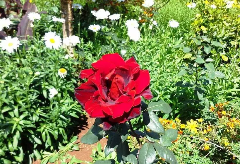 Fotos del hotel Quinta Splendida Wellness & Botanical Garden:  45