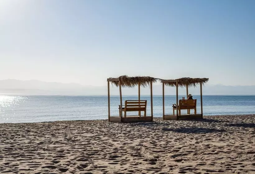 Fotos del hotel Strand Beach & Golf Resort Taba Heights:  23