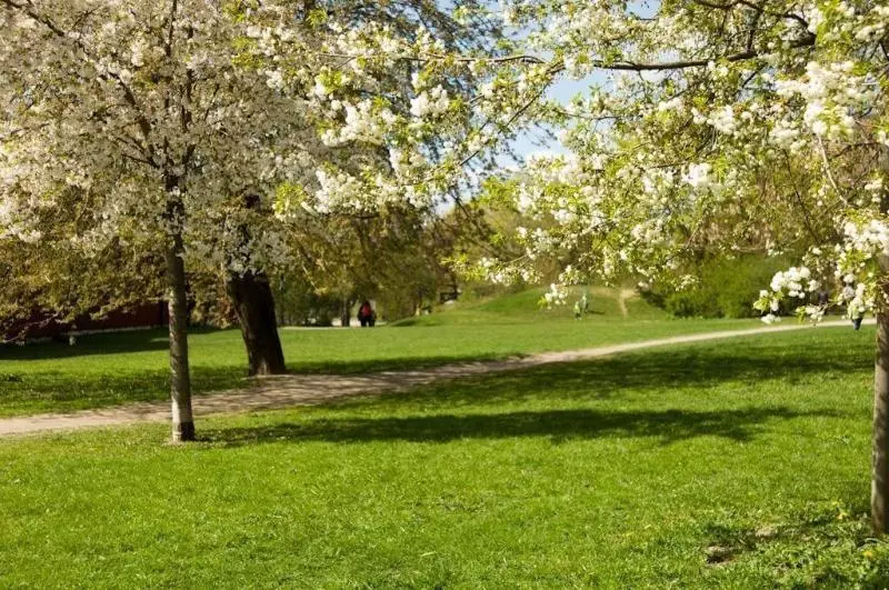 Fotos del hotel Stf Hotel Zinkensdamm:  2