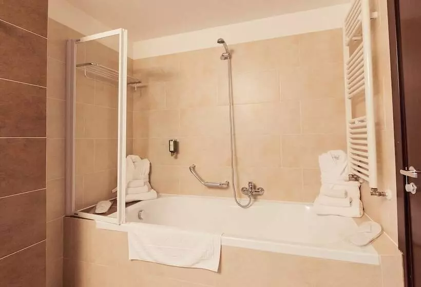 Fotos del hotel Hotel Paradis:  13