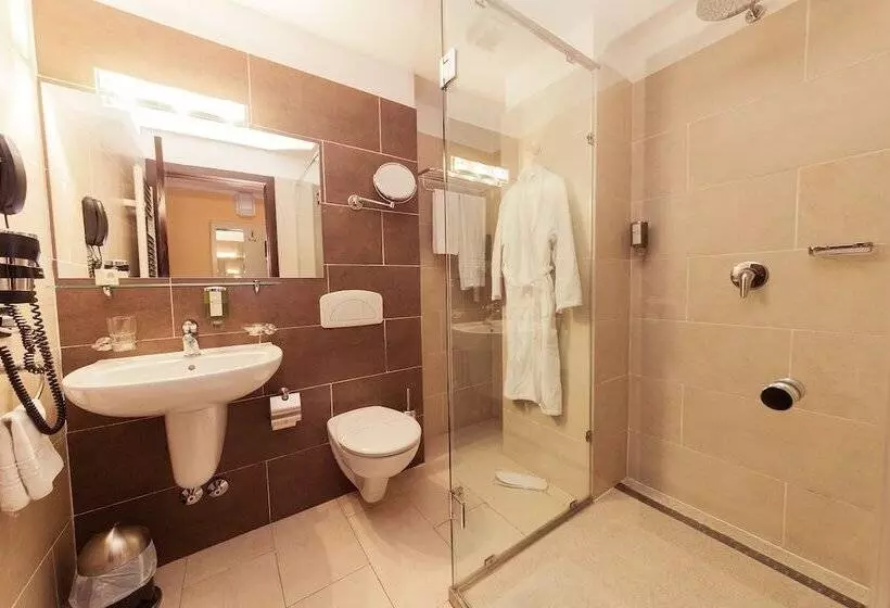 Fotos del hotel Hotel Paradis:  15