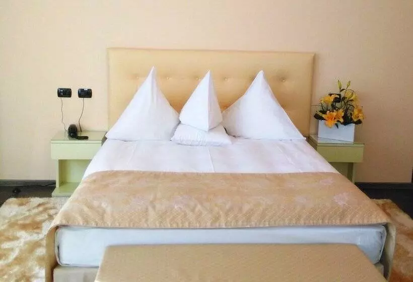 Fotos del hotel Hotel Paradis:  6