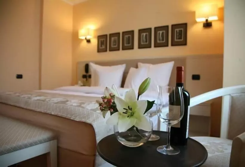 Fotos del hotel Hotel Paradis:  12