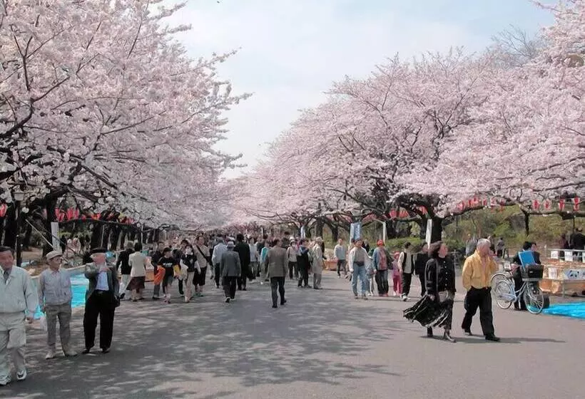 Fotos del hotel Mystays Gotanda Station:  25