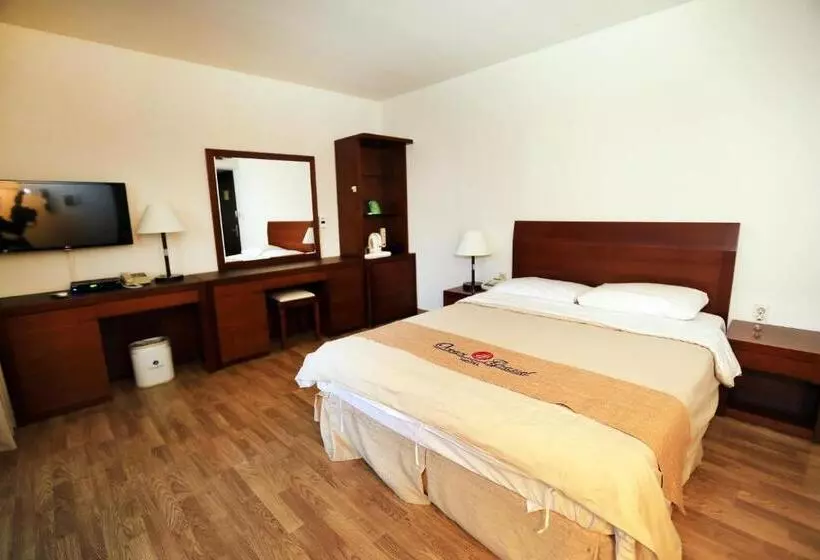 Fotos del hotel Ocean Grand:  12