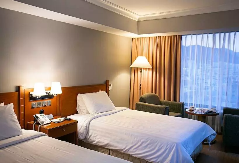 Fotos del hotel Paragon:  24