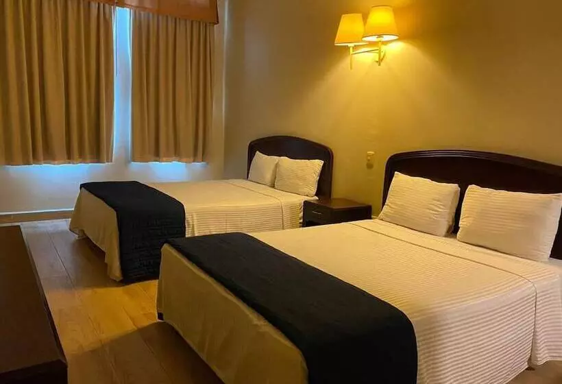 Fotos del hotel Plaza Del Arco Express:  10