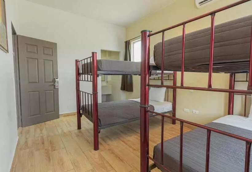 Fotos del hotel Plaza Del Arco Express:  16