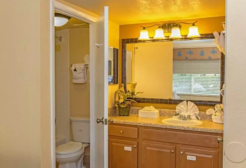 Fotos del hotel Westgate Leisure Resort:  6