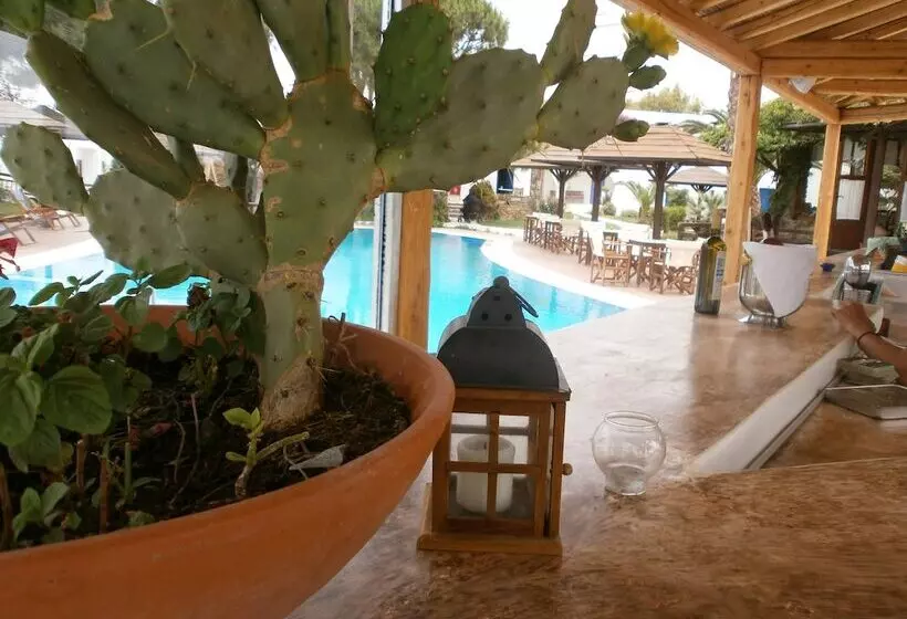 Fotos del hotel Alkyoni Beach:  17