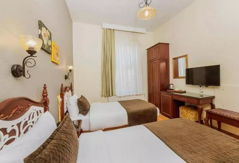 Fotos del hotel Ipek Palas:  18