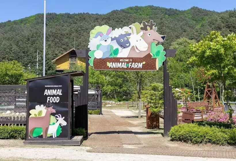 Fotos del hotel Kensington  Pyeongchang:  19