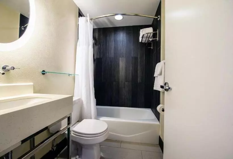 Fotos del hotel Solita Soho:  15