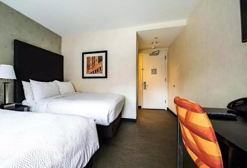 Fotos del hotel Solita Soho:  24