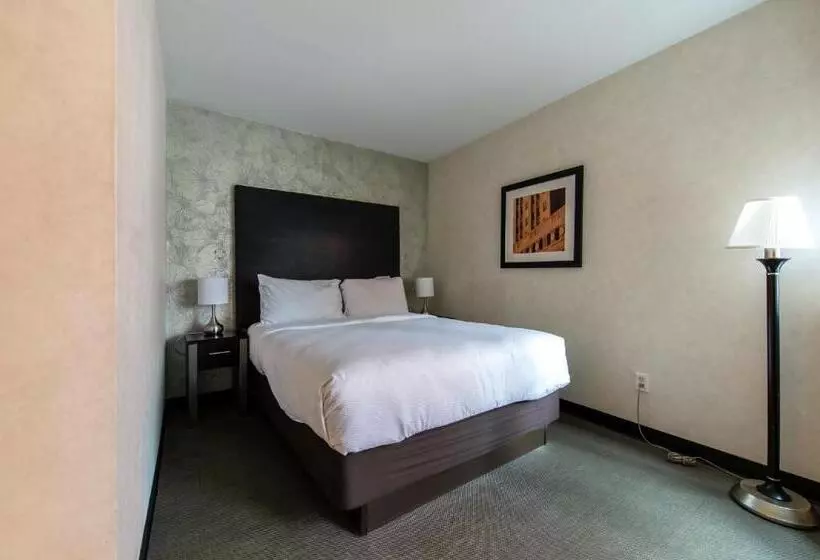 Fotos del hotel Solita Soho:  22