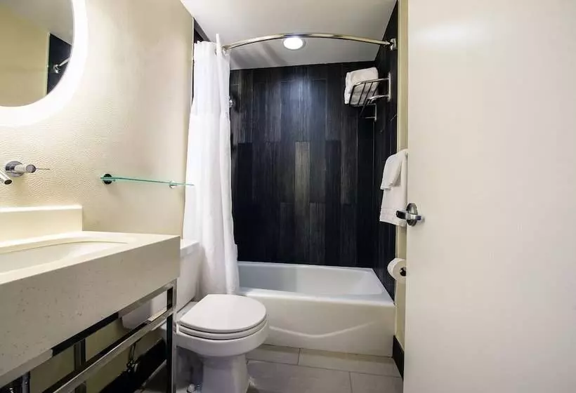 Fotos del hotel Solita Soho:  4