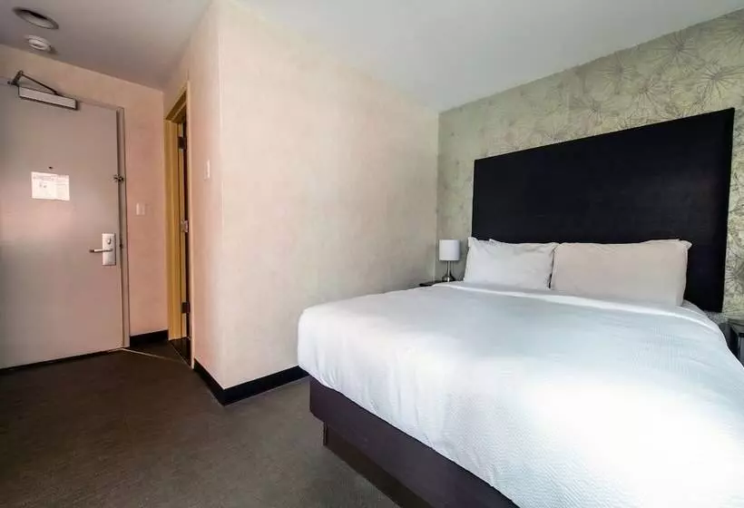 Fotos del hotel Solita Soho:  9