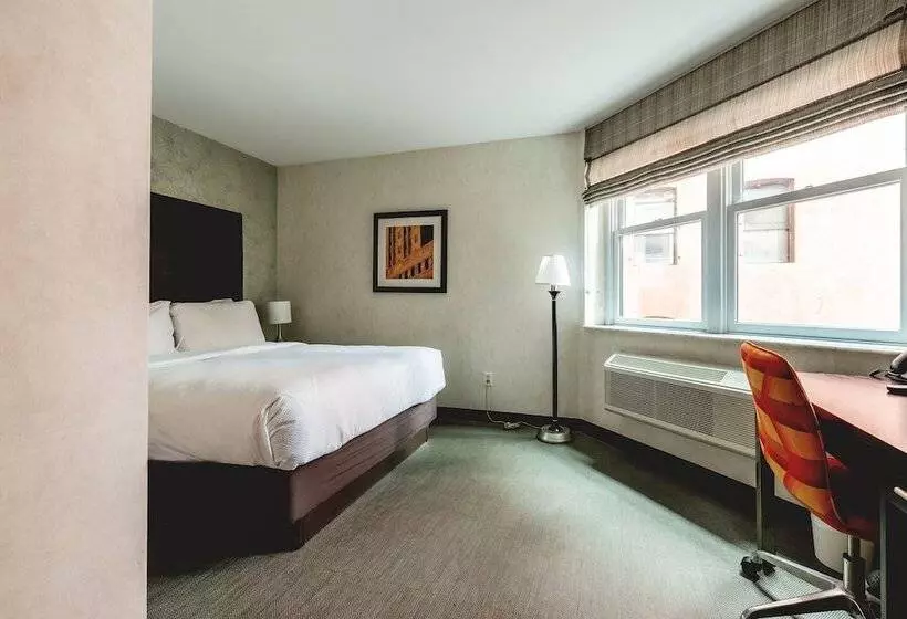 Fotos del hotel Solita Soho:  14