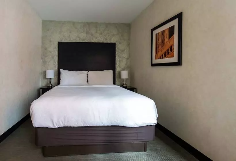 Fotos del hotel Solita Soho:  16