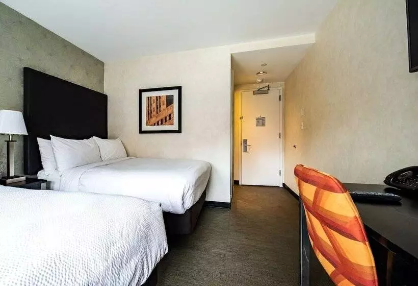 Fotos del hotel Solita Soho:  21