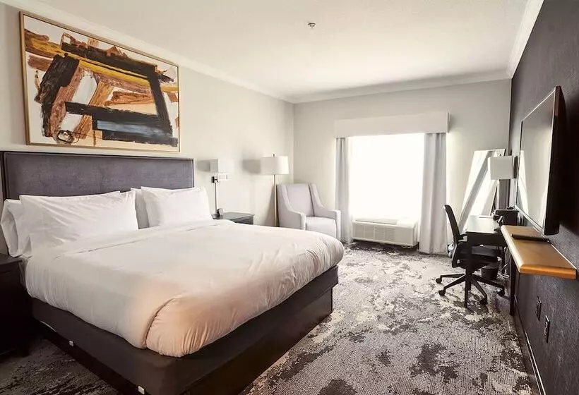 Fotos del hotel Hampton Inn & Suites Houston  Westchase:  10