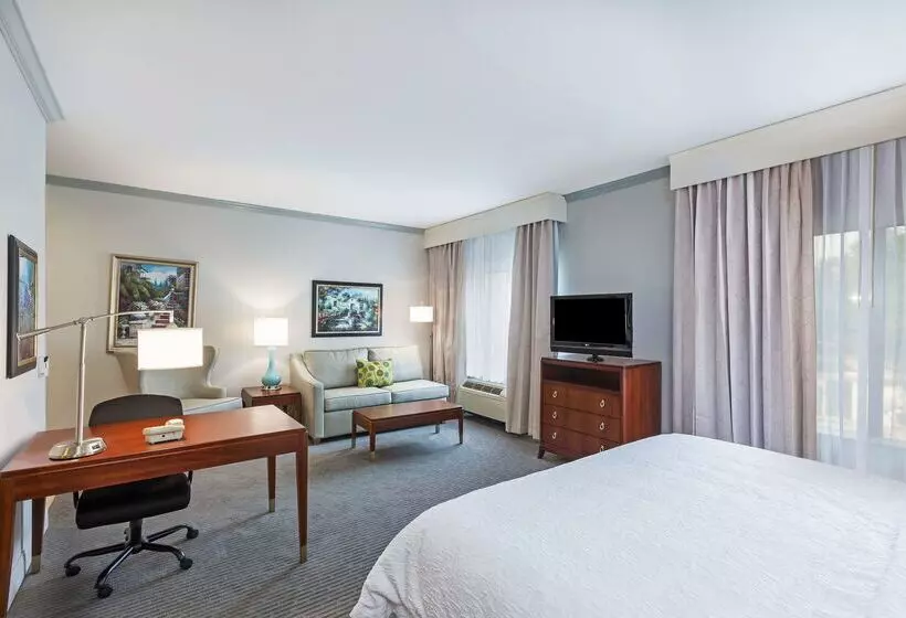 Fotos del hotel Hampton Inn & Suites Houston  Westchase:  16