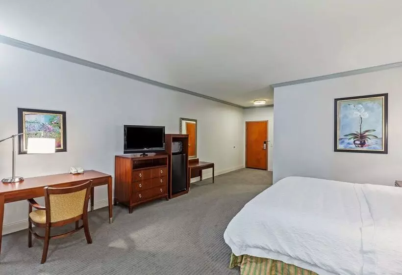 Fotos del hotel Hampton Inn & Suites Houston  Westchase:  18