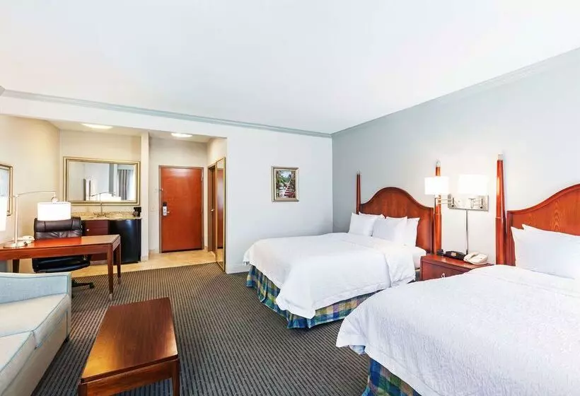 Fotos del hotel Hampton Inn & Suites Houston  Westchase:  23