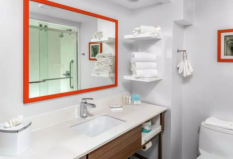 Fotos del hotel Hampton Inn Miami Dadeland:  16