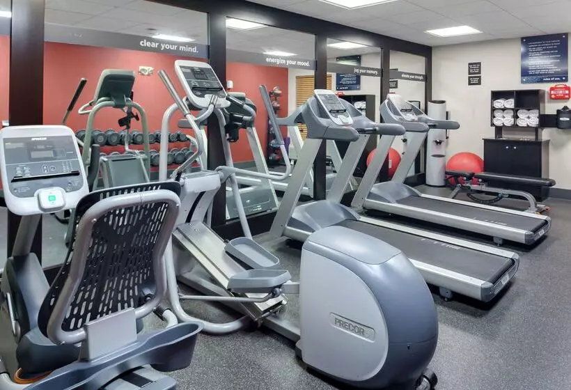 Fotos del hotel Hampton Inn Miami Dadeland:  5