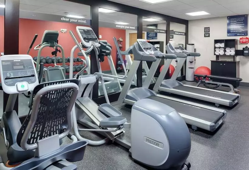 Fotos del hotel Hampton Inn Miami Dadeland:  13