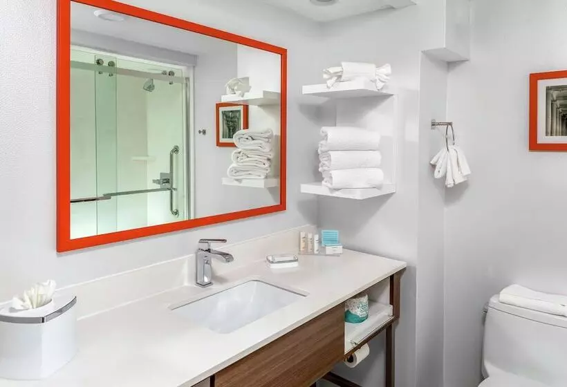 Fotos del hotel Hampton Inn Miami Dadeland:  9