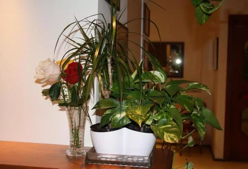 Fotos del hotel Sole Mare:  8