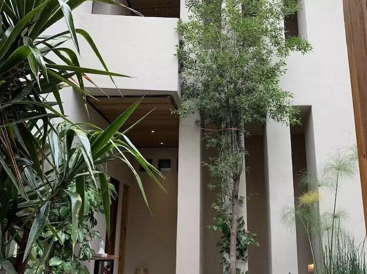 Fotos del hotel Casa Quebrada Hotel Boutique:  2