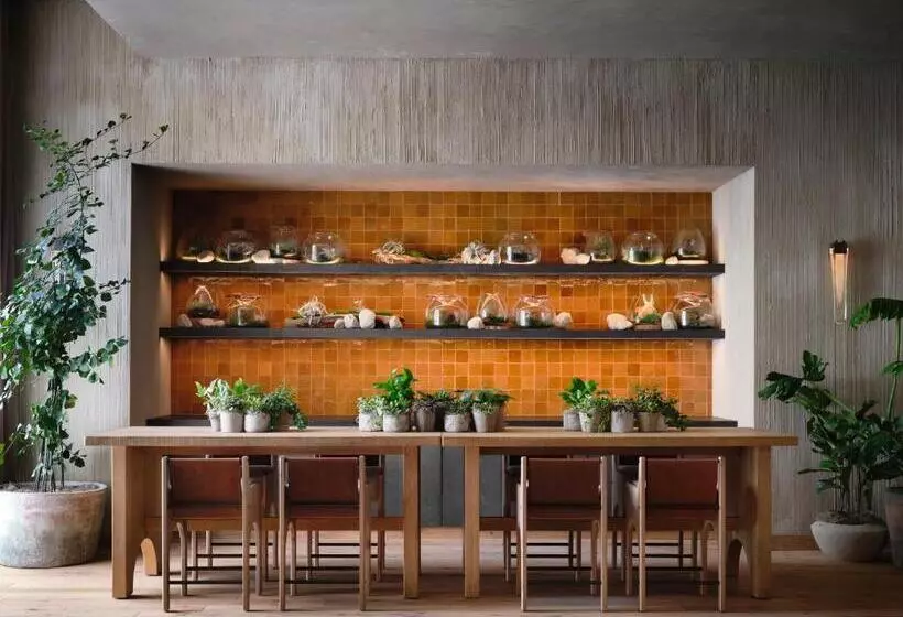 Fotos del hotel 1  San Francisco:  5