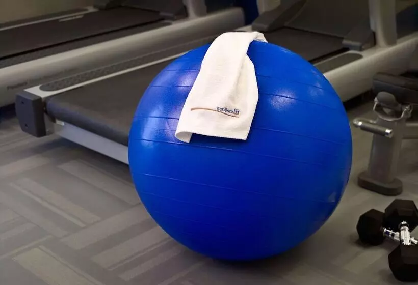 Fotos del hotel Sonesta Es Suites Atlanta Perimeter Center:  4