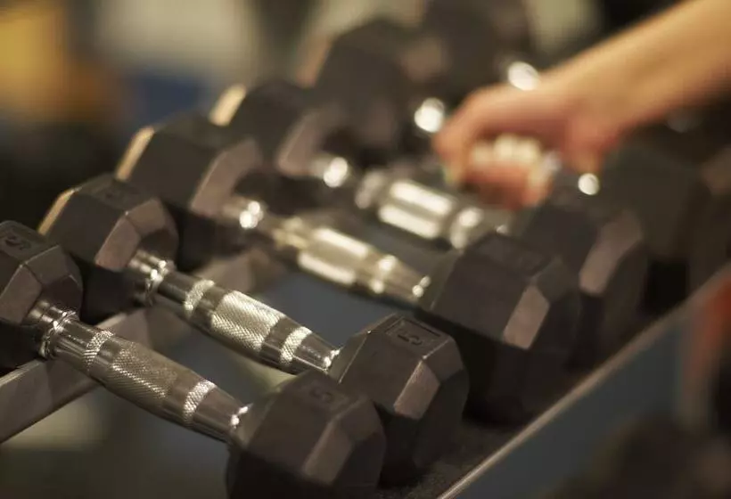 Fotos del hotel Kinzie Hotel:  7